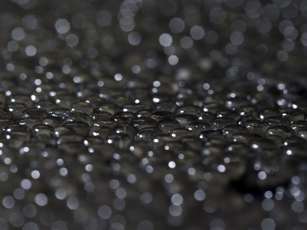 Caviar