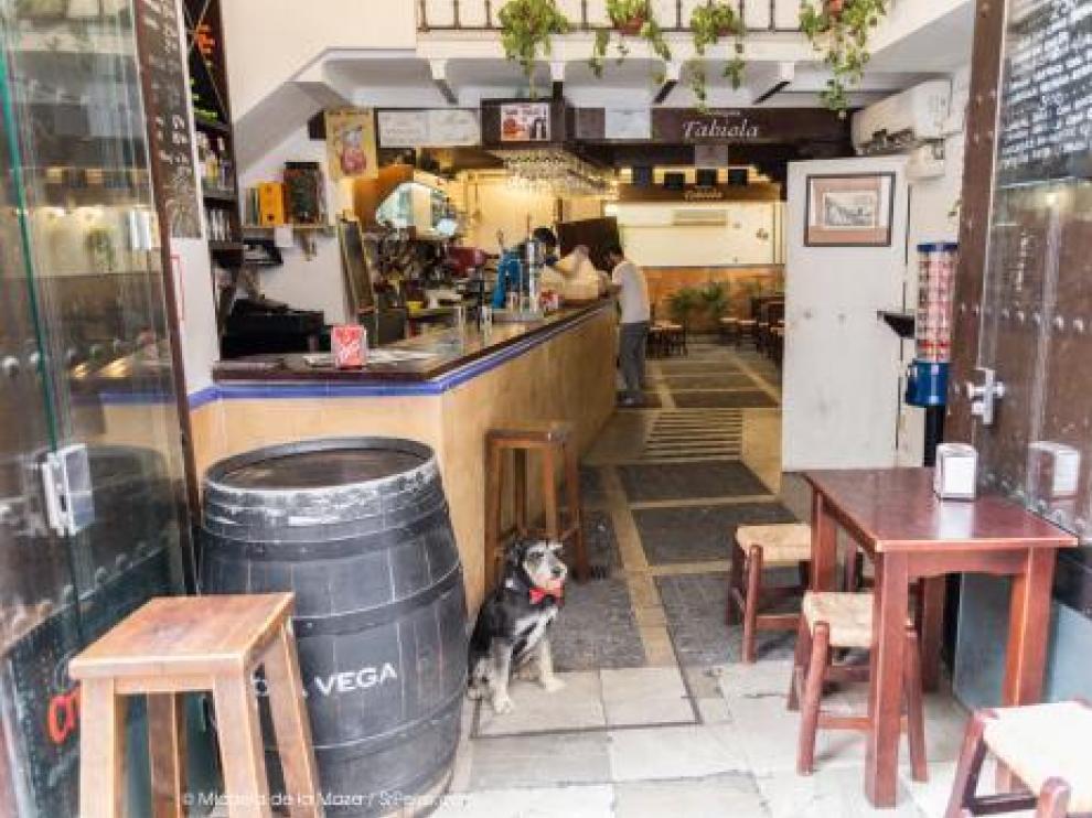 Un bar de Sevilla que permite la entrada de perros