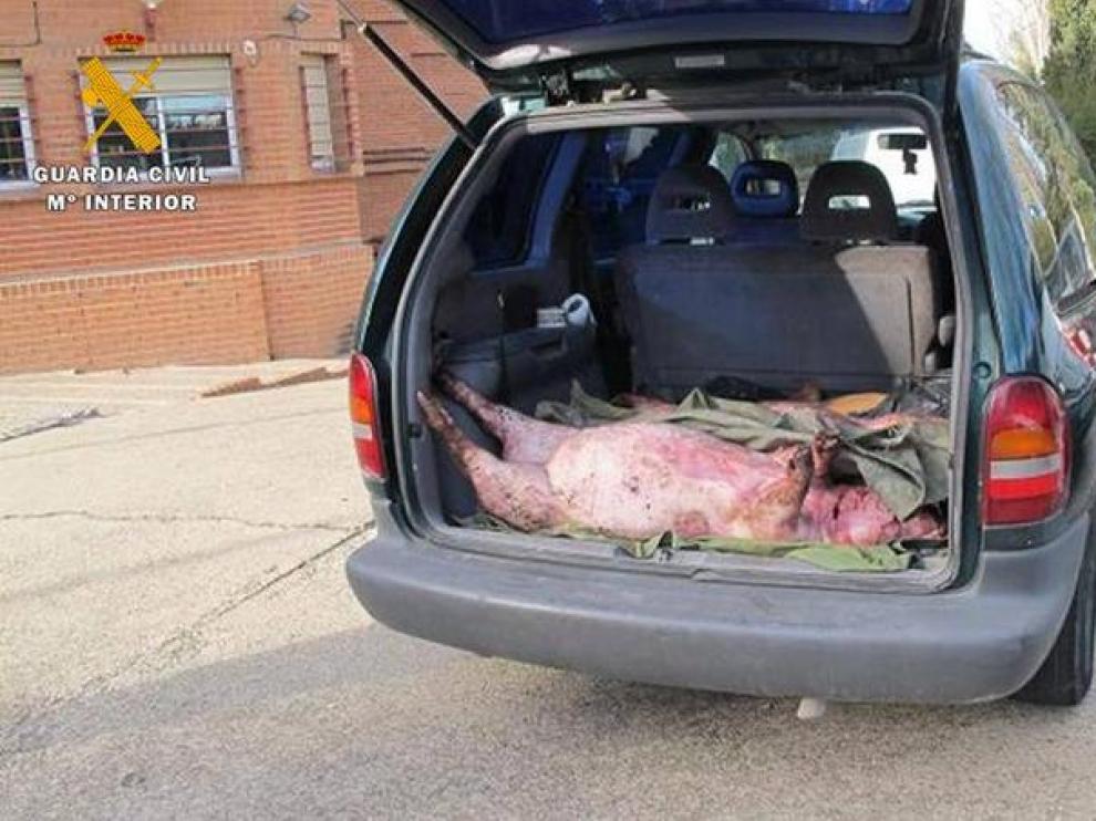 Los detenidos transportaban a los animales sin medidas sanitarias