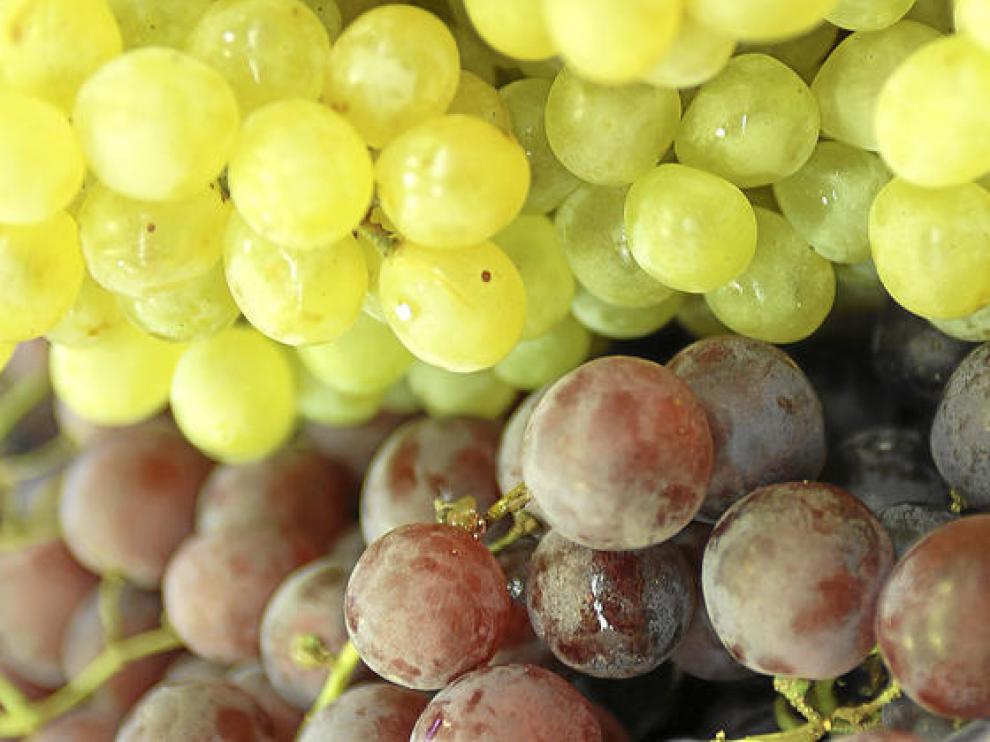 Las uvas de mesa de variedades tintas y blancas se pueden ver estos días en los mercados y fruterías