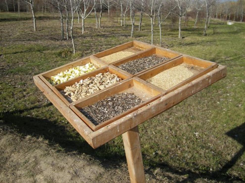 Los comederos aseguran el alimento a las aves durante el invierno en el Galacho