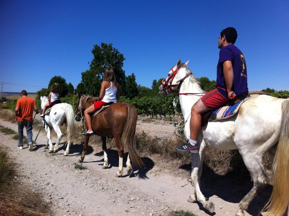 Una de las actividades enoturísticas organizadas por La Ruta de la Garnacha