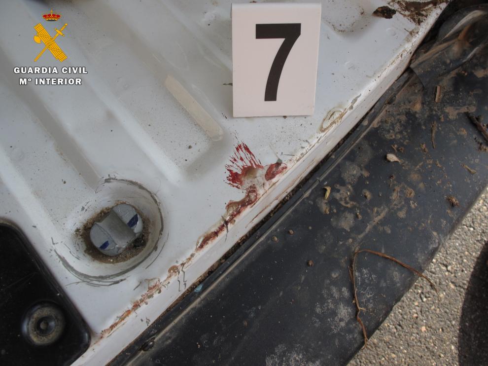 Restos de sangre del perro en el vehículo del detenido