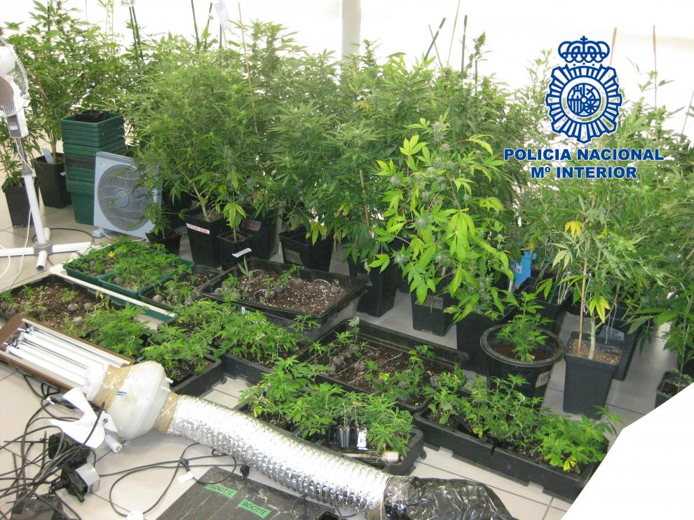 Parte de los efectos decomisados en una operación antidrogas.