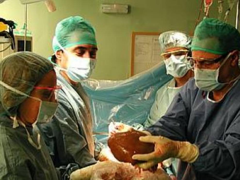 La utilización del tejido óseo en el entorno de los trasplantes marca la XV Reunión de Coordinadores de Trasplantes