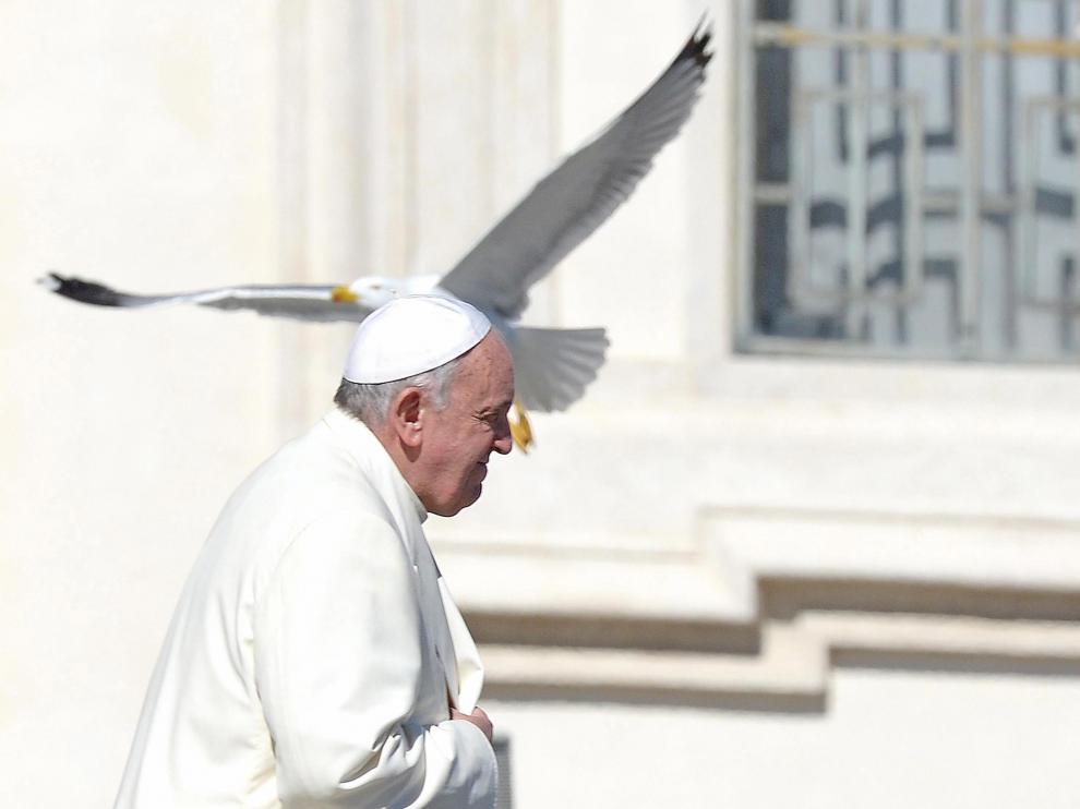 El papa Francisco