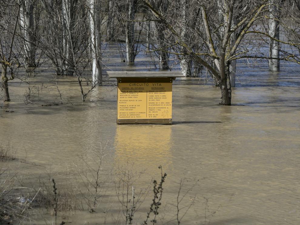 Crecida del río a la altura de Cabañas de Ebro