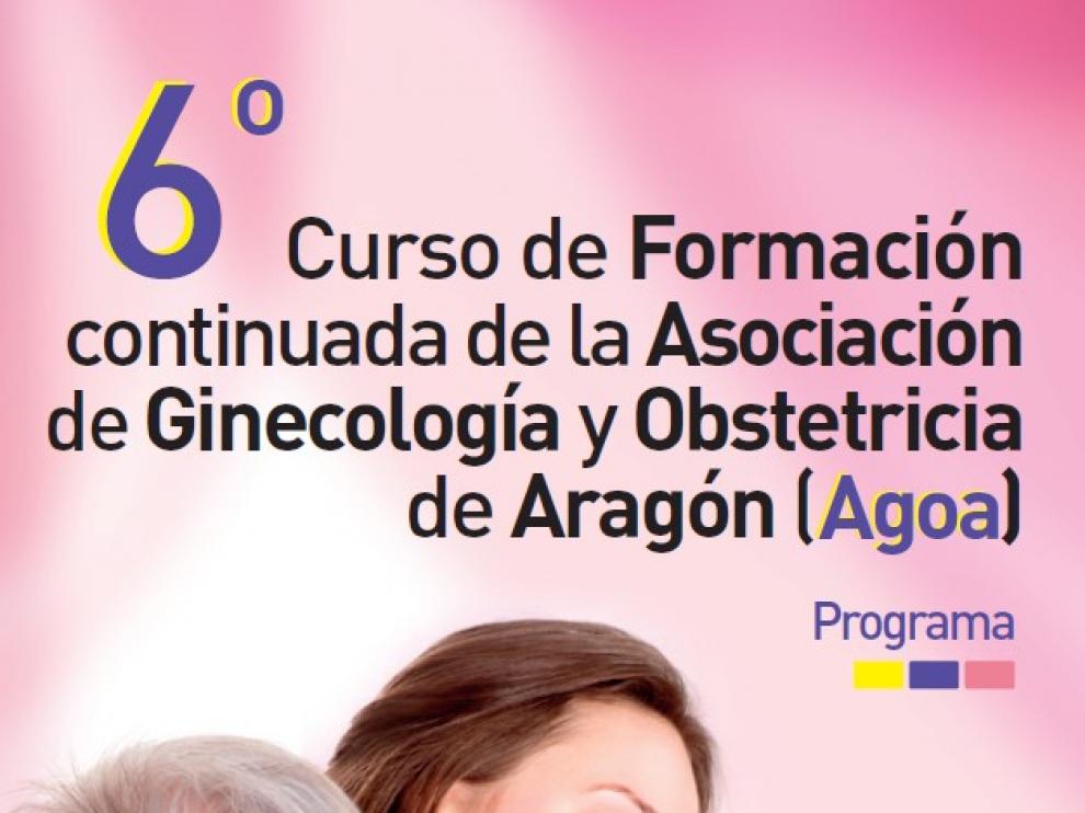 Unos 250 profesionales se reúnen en este curso de formación continuada en Zaragoza