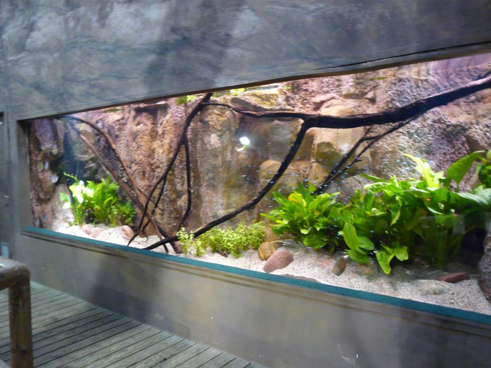 Acuario de Zaragoza.