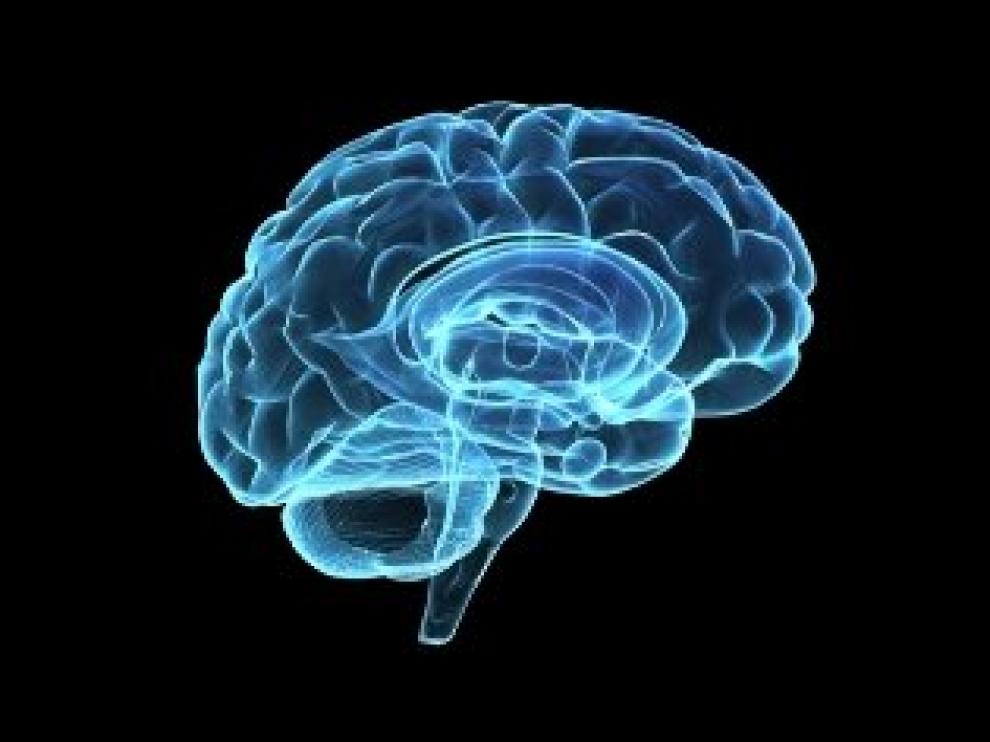 Los 200 milisegundos son el tiempo óptimo en que se transmiten los datos a través de las diferentes áreas cerebrales.