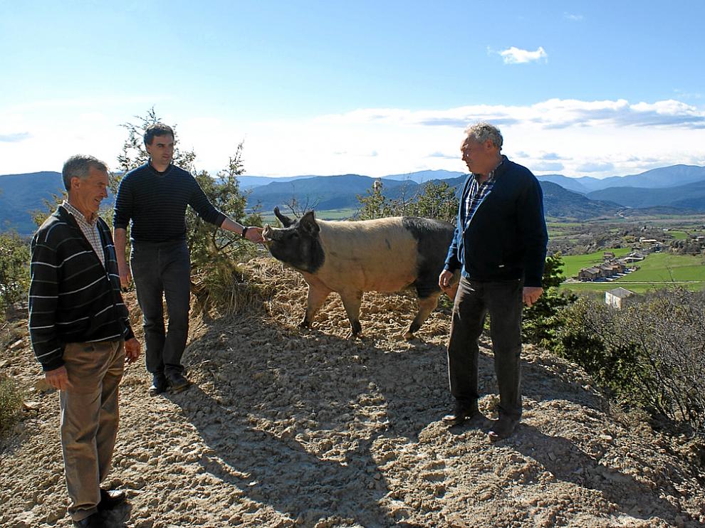 El valle de La Fueva, un paraíso para la cría del latón.