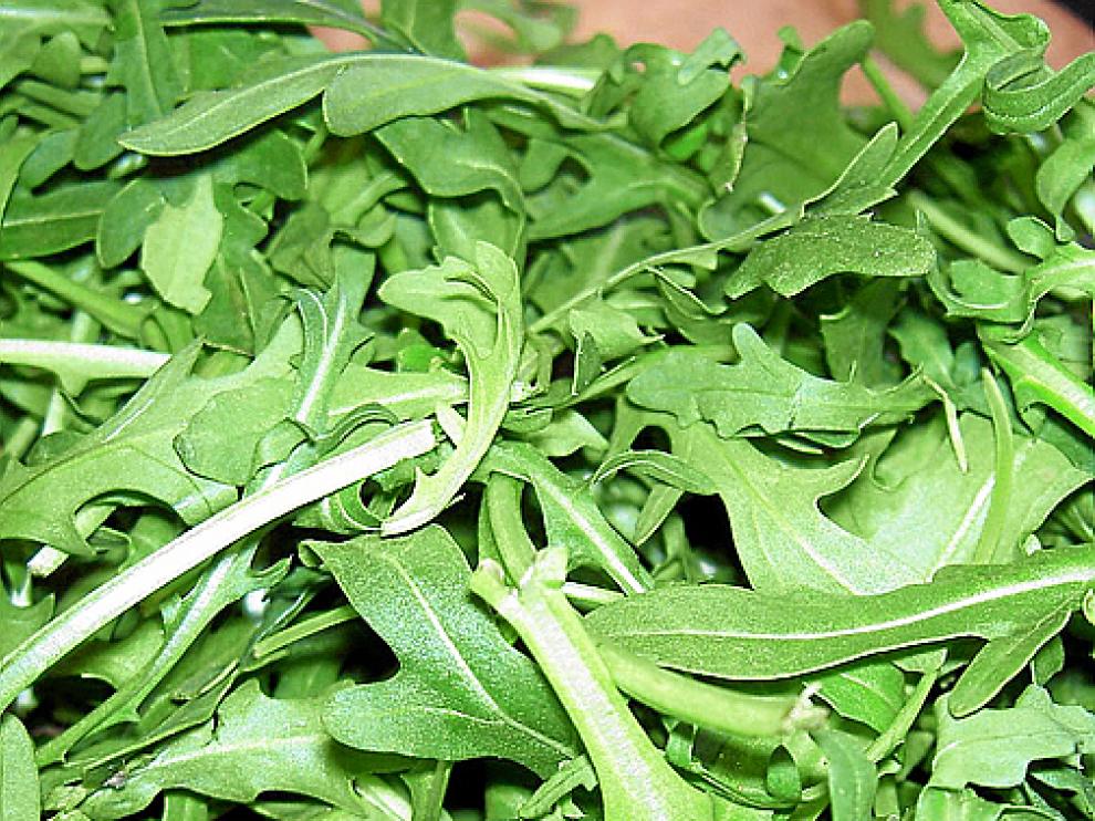 Alimentos: vegetales y anisakis