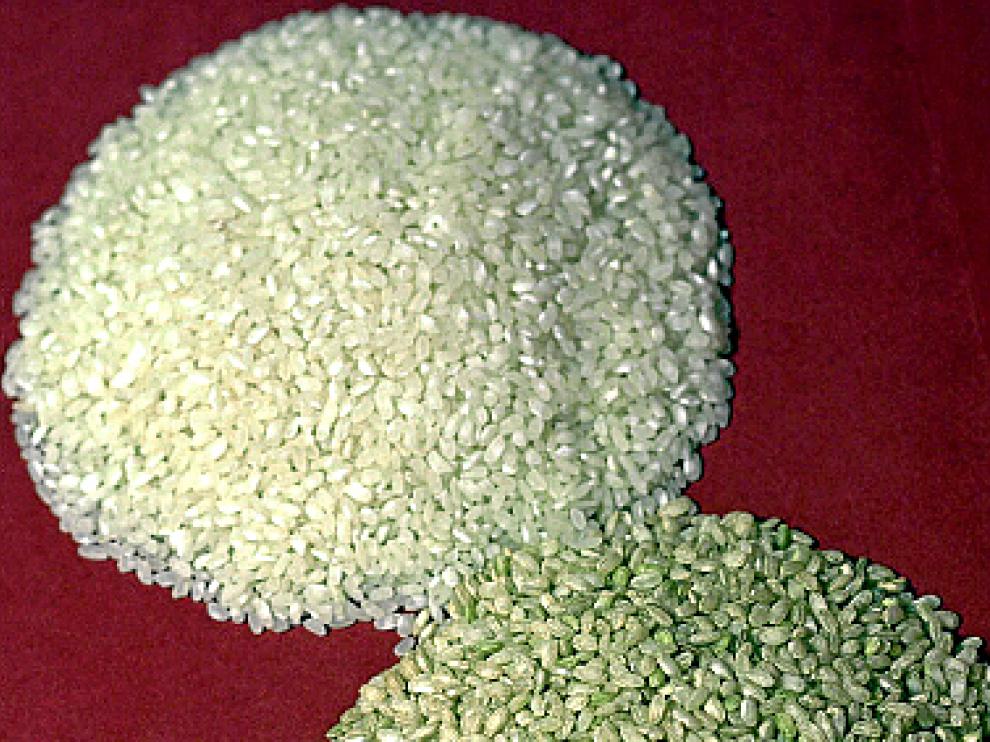 Variedades de arroz