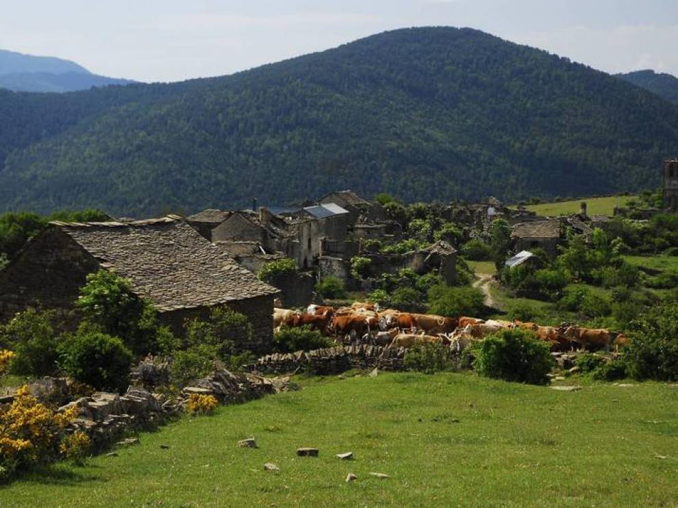Todas las comarcas podrán ejecutar al menos un proyecto de los presentados.
