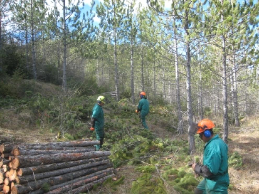 Trabajos realizados según el convenio entre Agricultura y el Convenio de Colaboración de las Cuencas Mineras