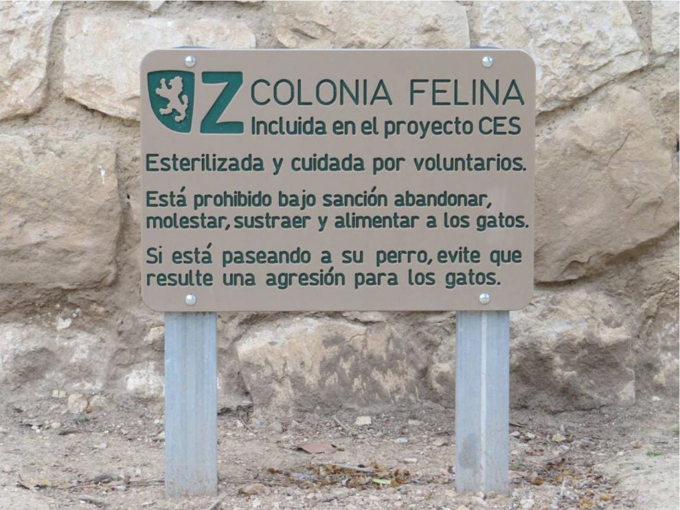 Cartel Proyecto CES