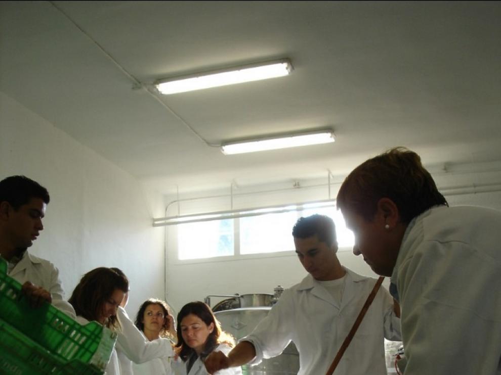Entrada de la uva en el laboratorio del IES Joaquín Costa