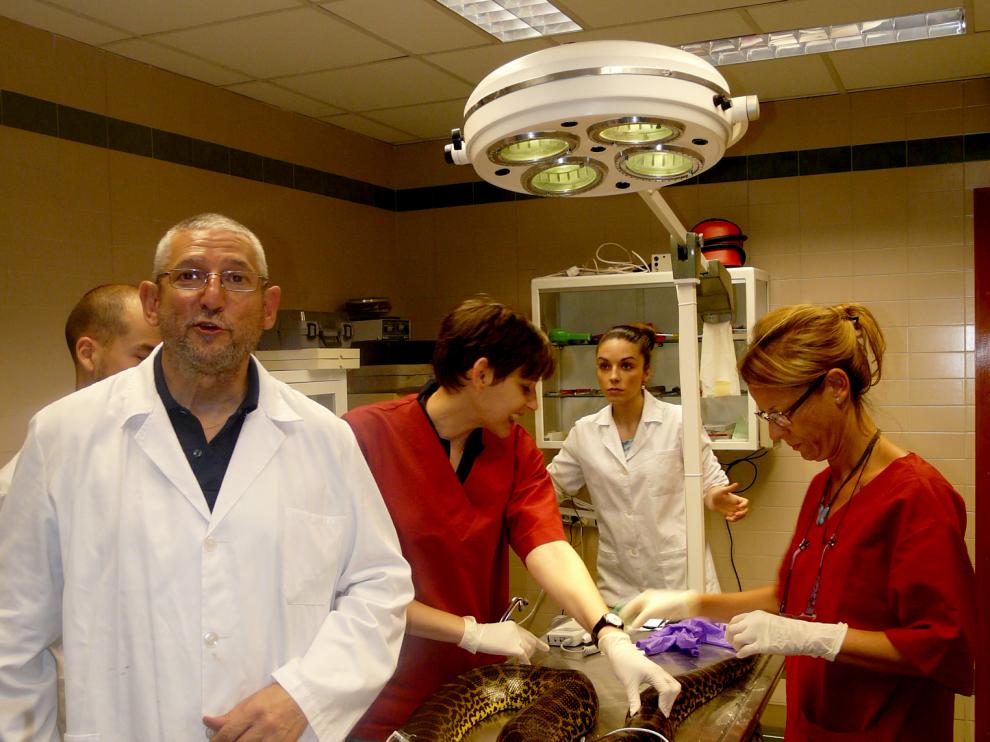 El doctor Cortés en su clínica zaragozana