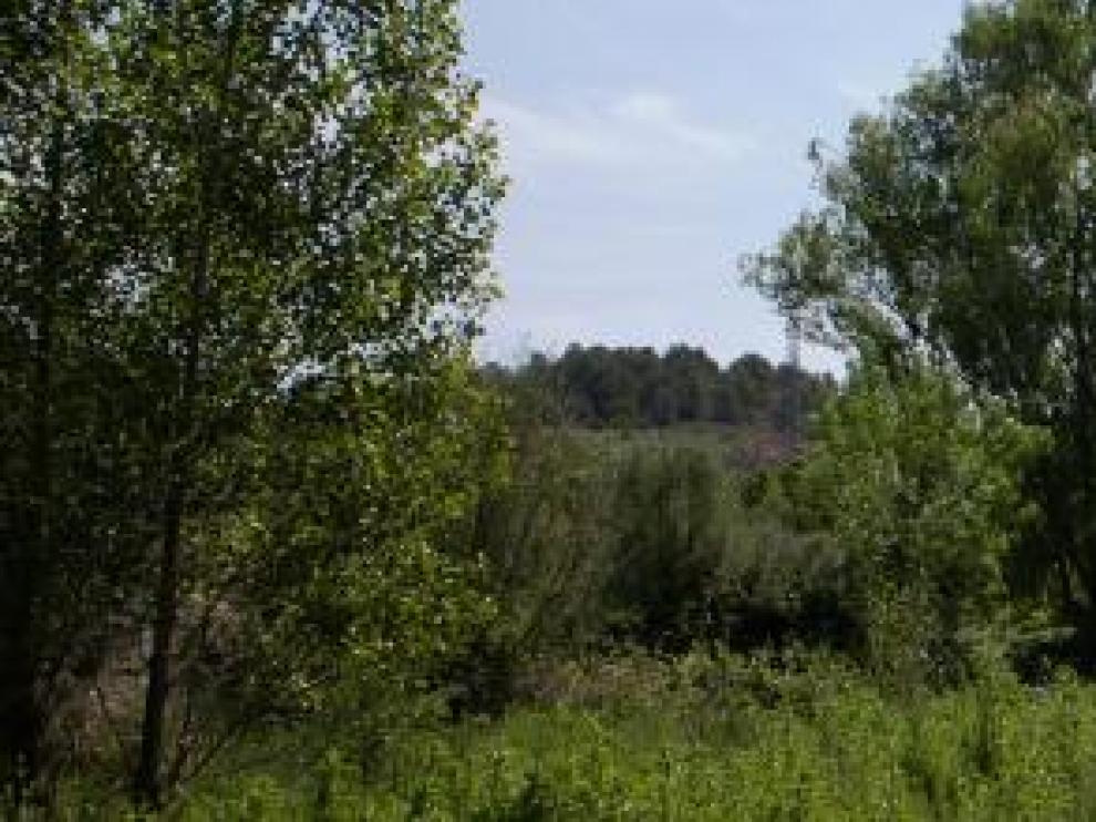 Imagen del río Matarraña