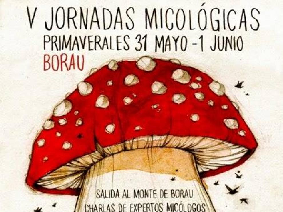 Cartel de las Jornadas Micológicas Primaverales de Borau
