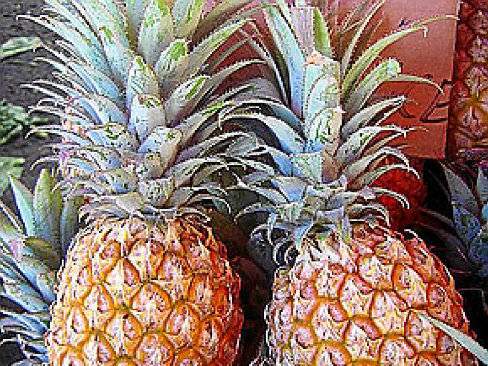 Piña