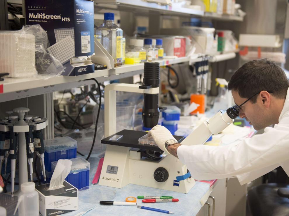 Científico investigando sobre el cáncer de cérvix.