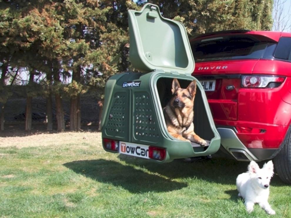 TowBox portaperros.