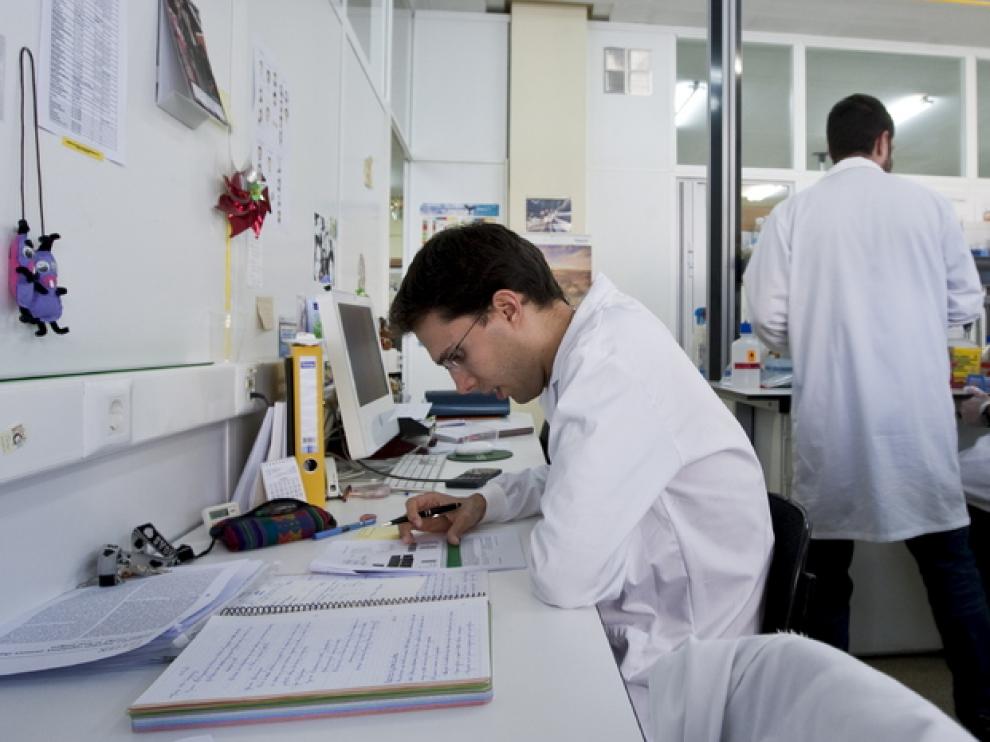 Investigadores de la Universidad de Zaragoza en el campo de la tuberculosis