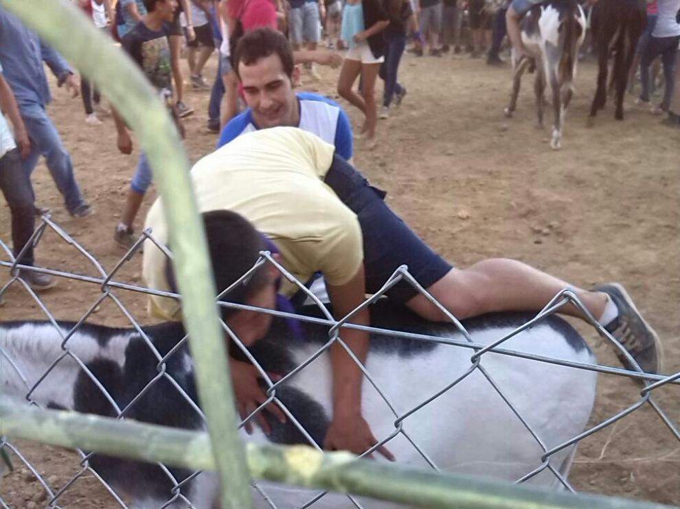 La Gran Burrada de Binaced celebrada el pasado domingo