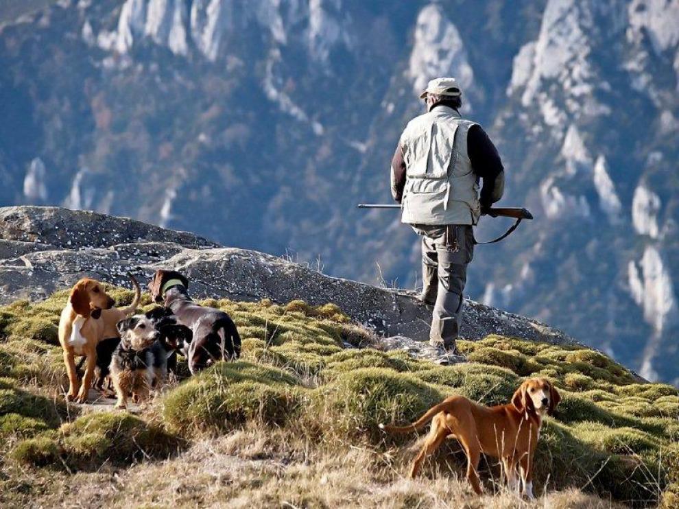 El Anteproyecto endurece las condiciones para la tenencia y el transporte de los perros de caza