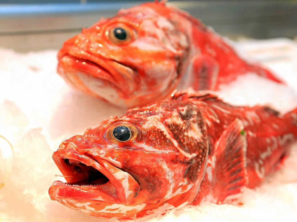 El cabracho es un pescado semigraso, de roca, de cuerpo robusto, alargado, cubierto de repliegues y espinas, con cola redondeada