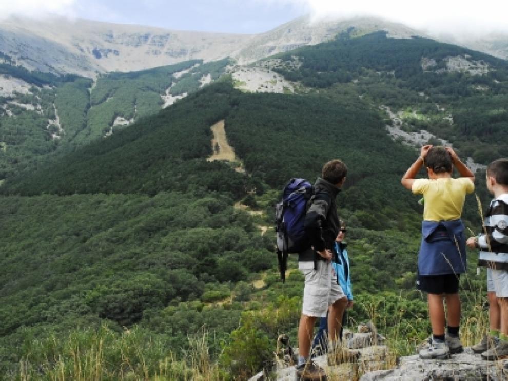 Parque Natural del Moncayo
