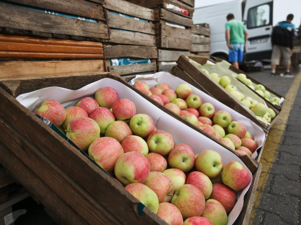Los productores de fruta en Aragón pierden un 35% de su renta por el veto ruso