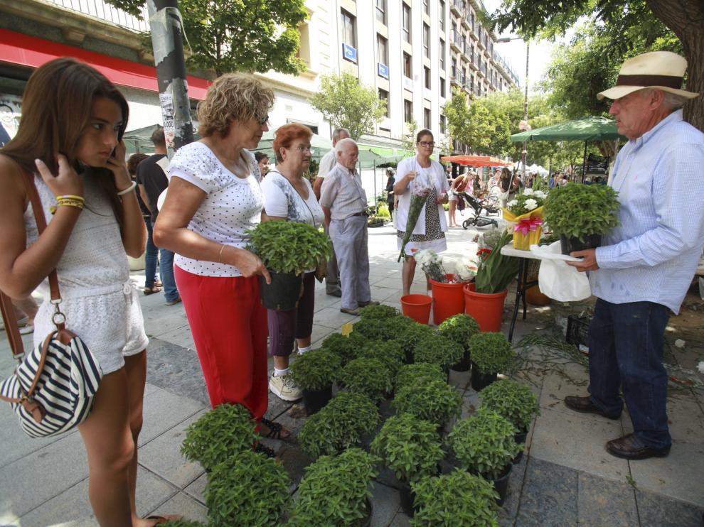 Venta de albahaca para las fiestas de San Lorenzo, en Huesca.