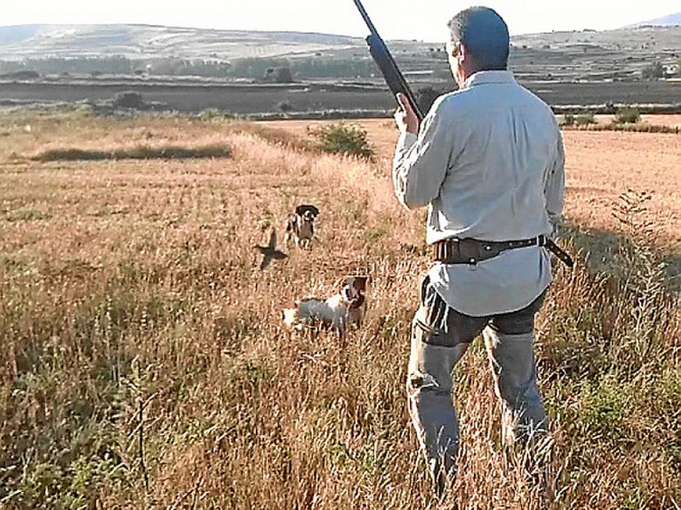 Un cazador en plena actividad