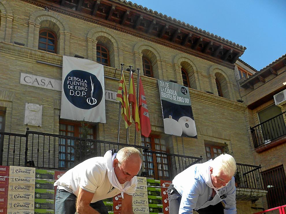La campaña de recogida de cebolla de 2014 está a punto de concluir con una cifra récord de 4 millones de kilos. Aragón es el principal mercado, pero el producto ya puede encontrarse en toda España. Se exporta un 5%.
