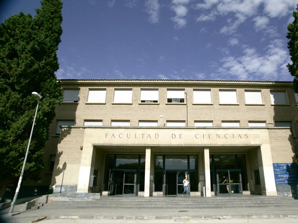 En la actualidad, los profesionales de estas áreas representan el 1% del total de universitarios.