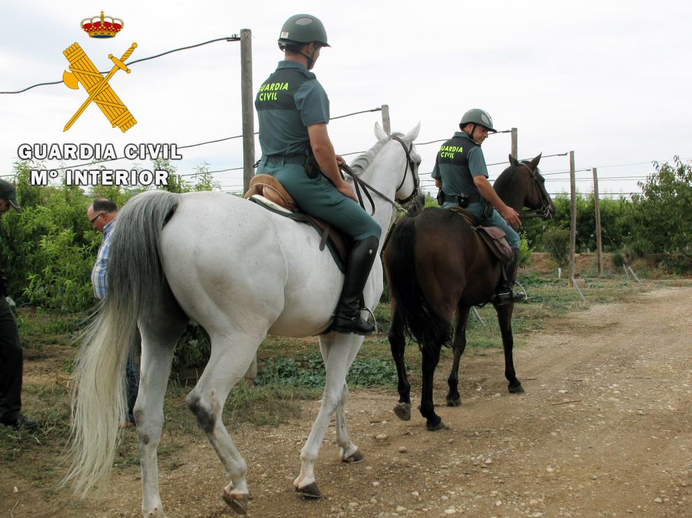 Caballos que han reforzado a la Guardia Civil de Teruel