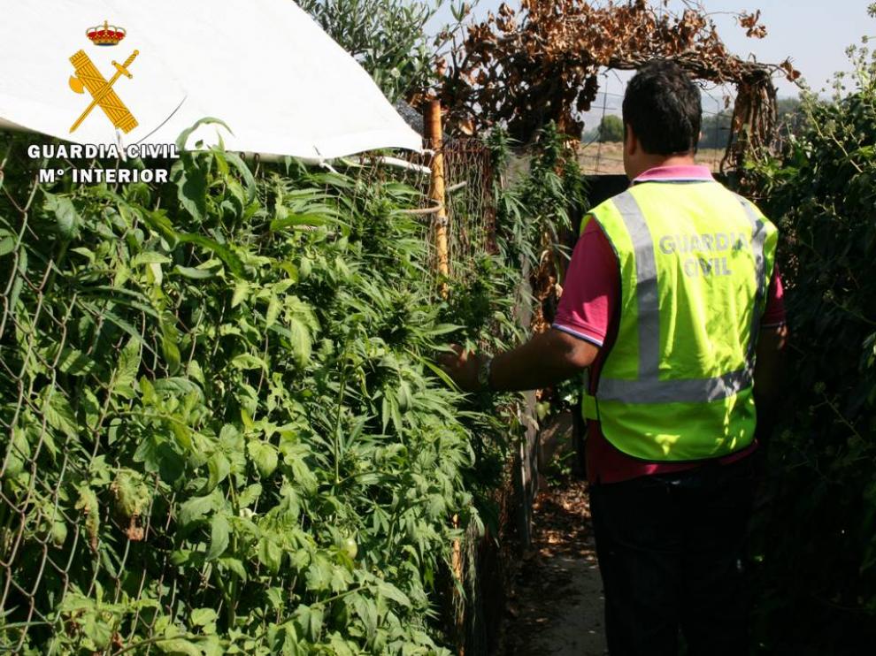 Operación antidroga en la provincia de Zaragoza