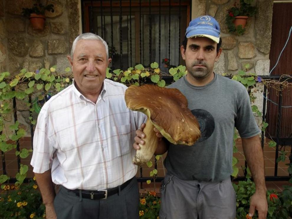 Aquilino Martín (i) y Jaime Montero (d), junto al ejemplar de hongo 'Boletus Edulis' de medio metro de alto, especie muy apreciada en el ámbito culinario, que han encontrado en el término municipal de El Payo, en el sur de la provincia de Salamanca.
