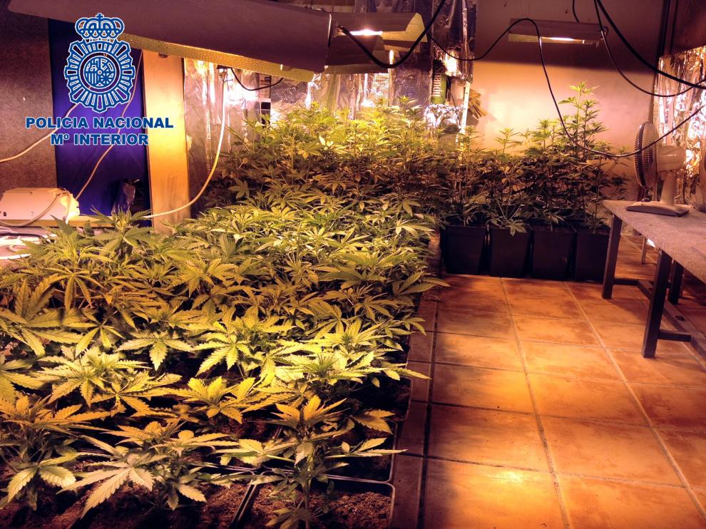 Desmantelan un punto de venta de droga en Calatayud y detienen a 8 personas