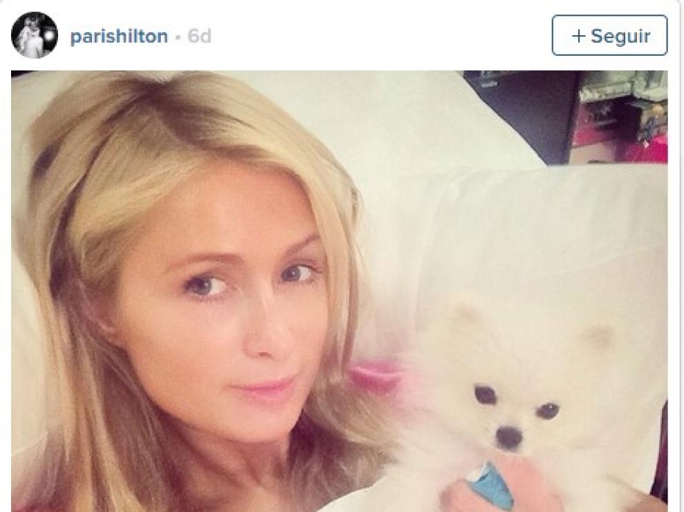 Paris Hilton también se unió a la causa solidaria