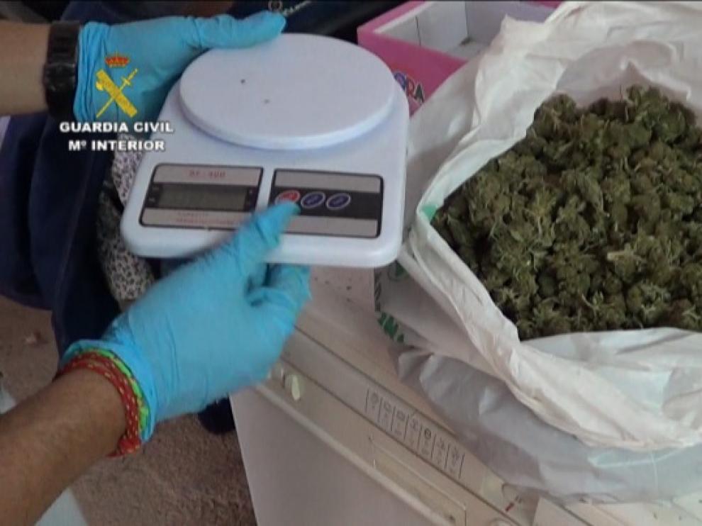 Marihuana incautada por las autoridades