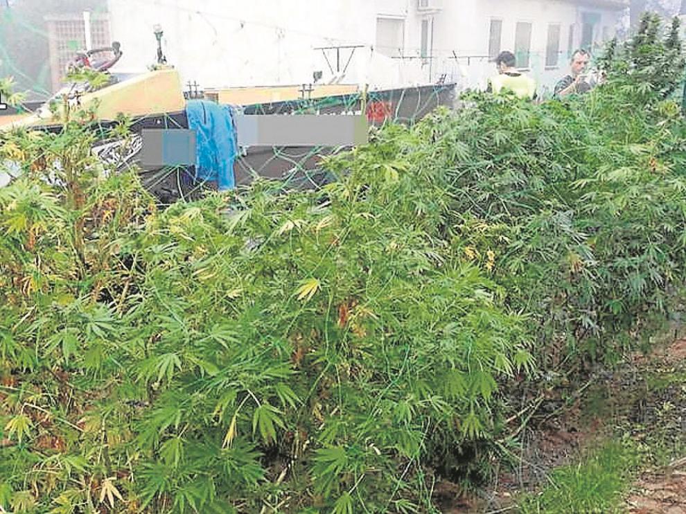 Alaska se convierte en el cuarto estado de EE. UU. en legalizar el cannabis