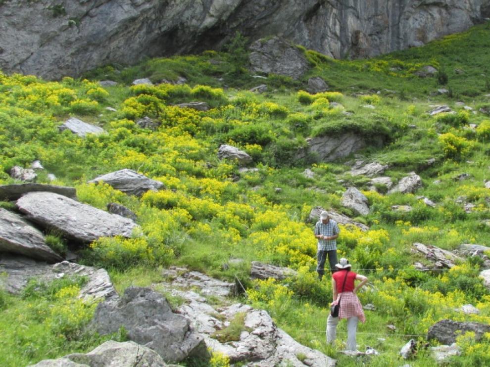 Voluntarios en el Pirineo
