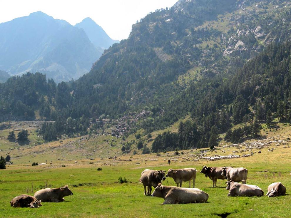 El Valle de Benasque conquista a los españoles