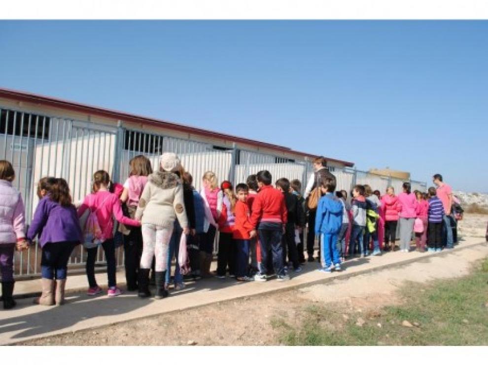 Un grupo de escolares visita el Centro de Protección Animal de Calatayud