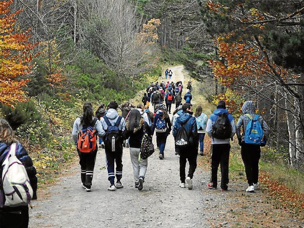 Salida al monte en las jornadas micológicas del año pasado