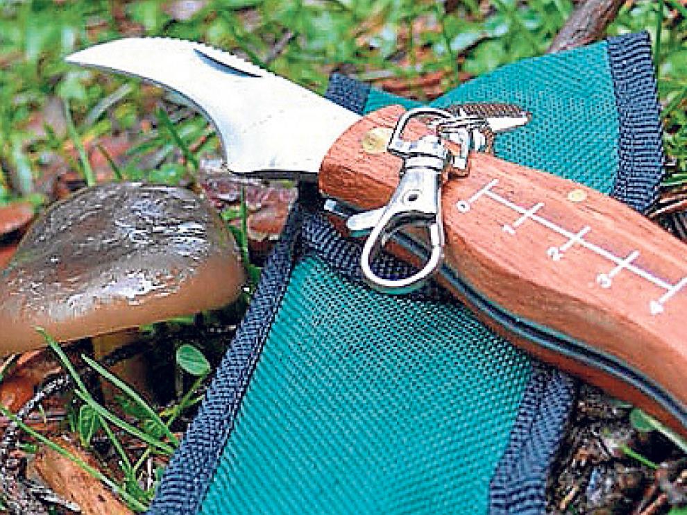 Una recolección segura contribuye a garantizar el futuro del producto micológico