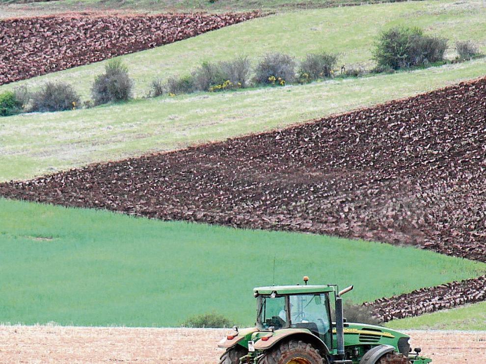 Un agricultor prepara la tierra para la siembra